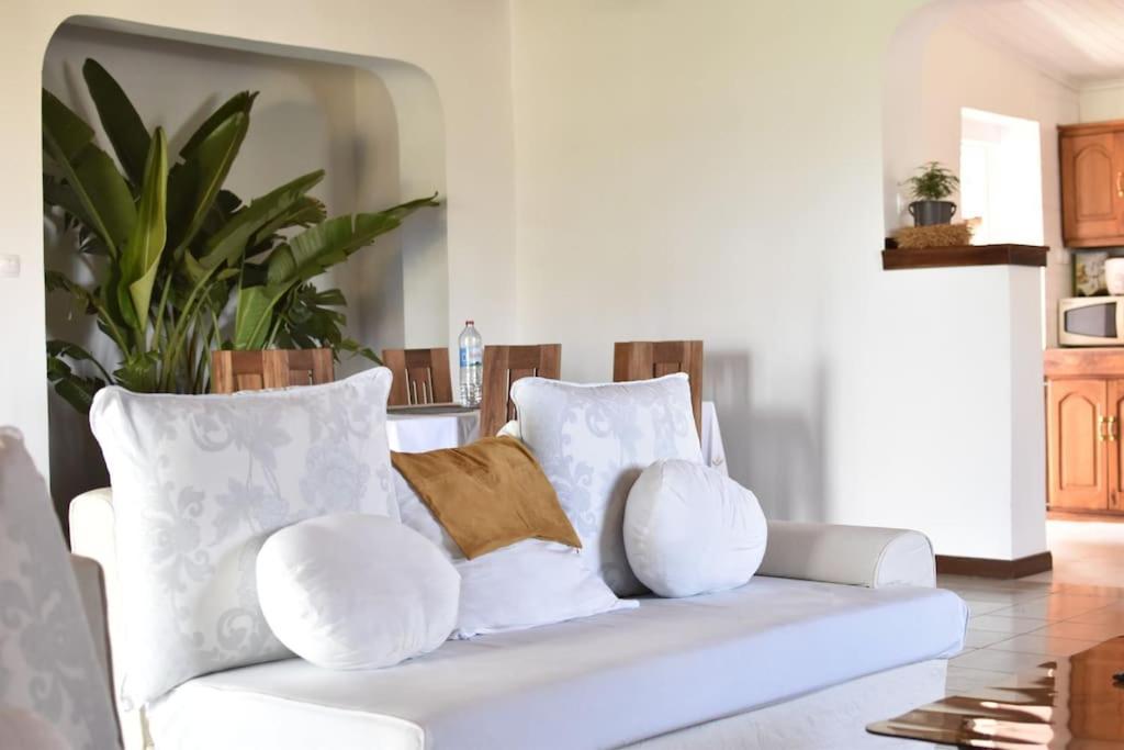 Villa Paisible Proche Des Rizieres Ανταναναρίβο Εξωτερικό φωτογραφία